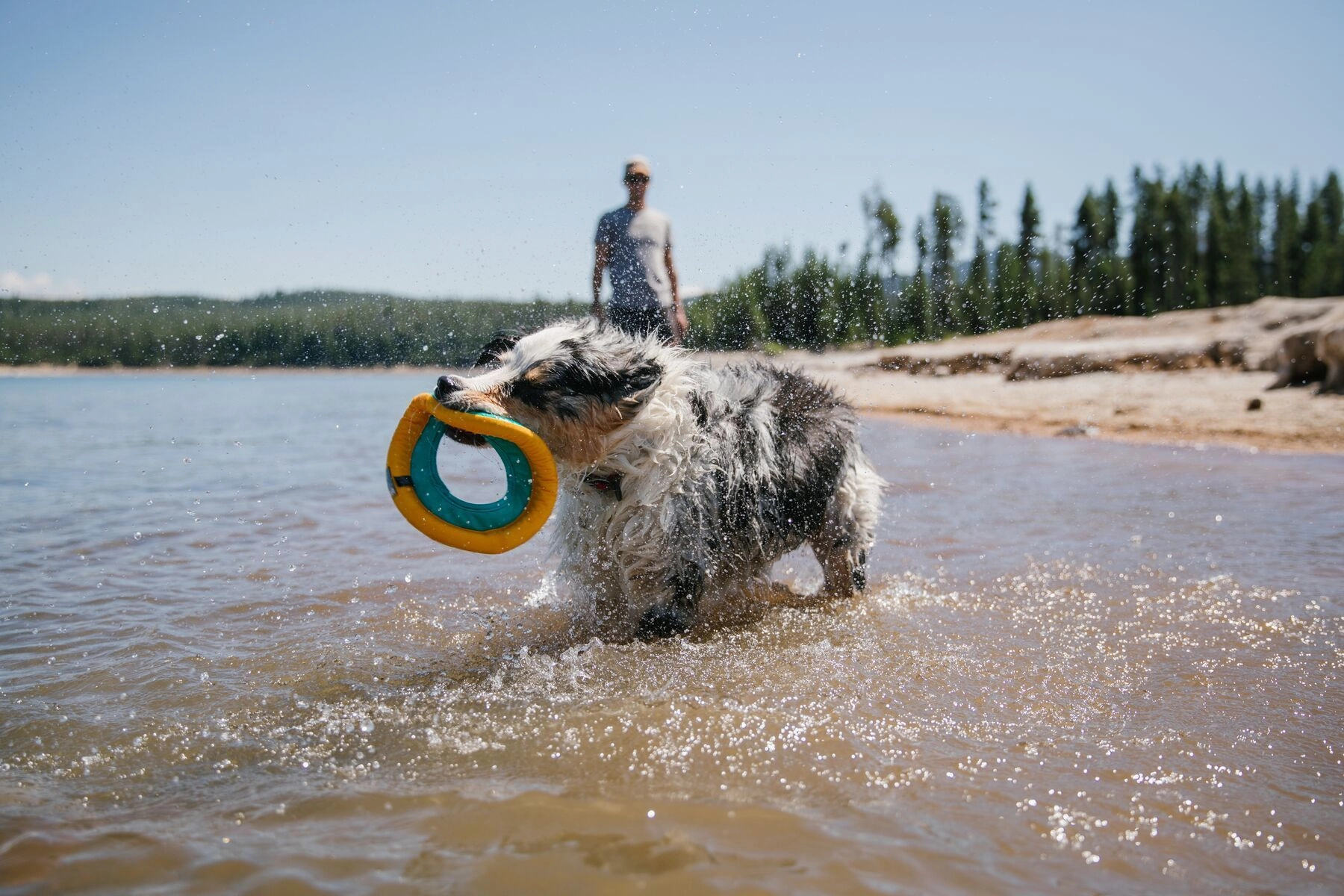 Ruffwear Hydro Plane High-Floating Foam Tug & Fetch Toy Fetch Dog Toy (Aurora Teal)