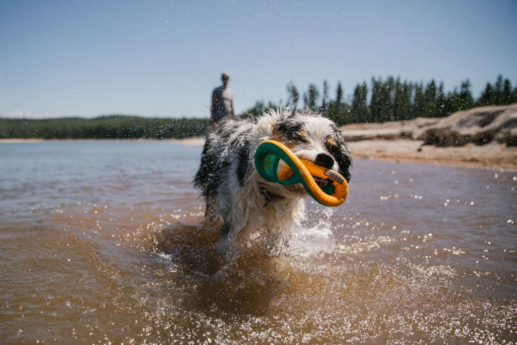 Ruffwear Hydro Plane High-Floating Foam Tug & Fetch Toy Fetch Dog Toy (Tangelo Orange)