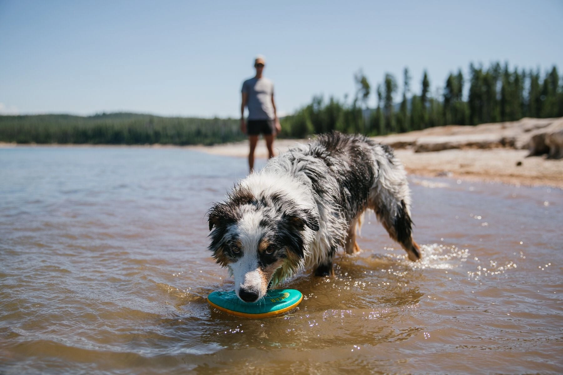 Ruffwear Hydro Plane High-Floating Foam Tug & Fetch Toy Fetch Dog Toy (Tangelo Orange)