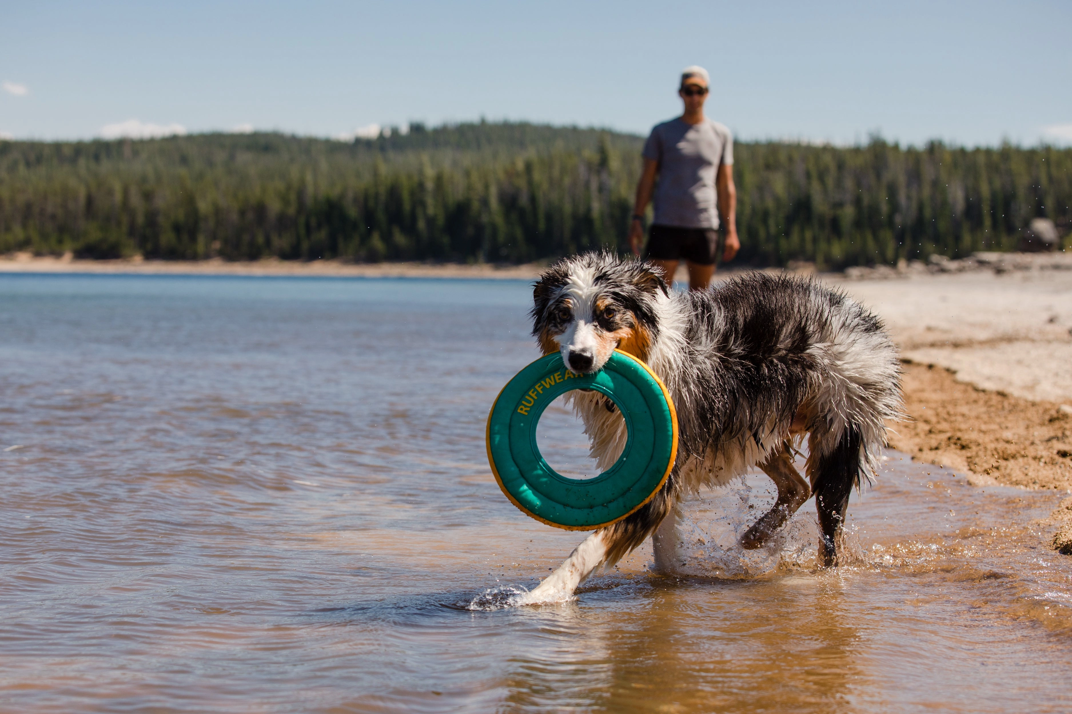 Ruffwear Hydro Plane High-Floating Foam Tug & Fetch Toy Fetch Dog Toy (Tangelo Orange)