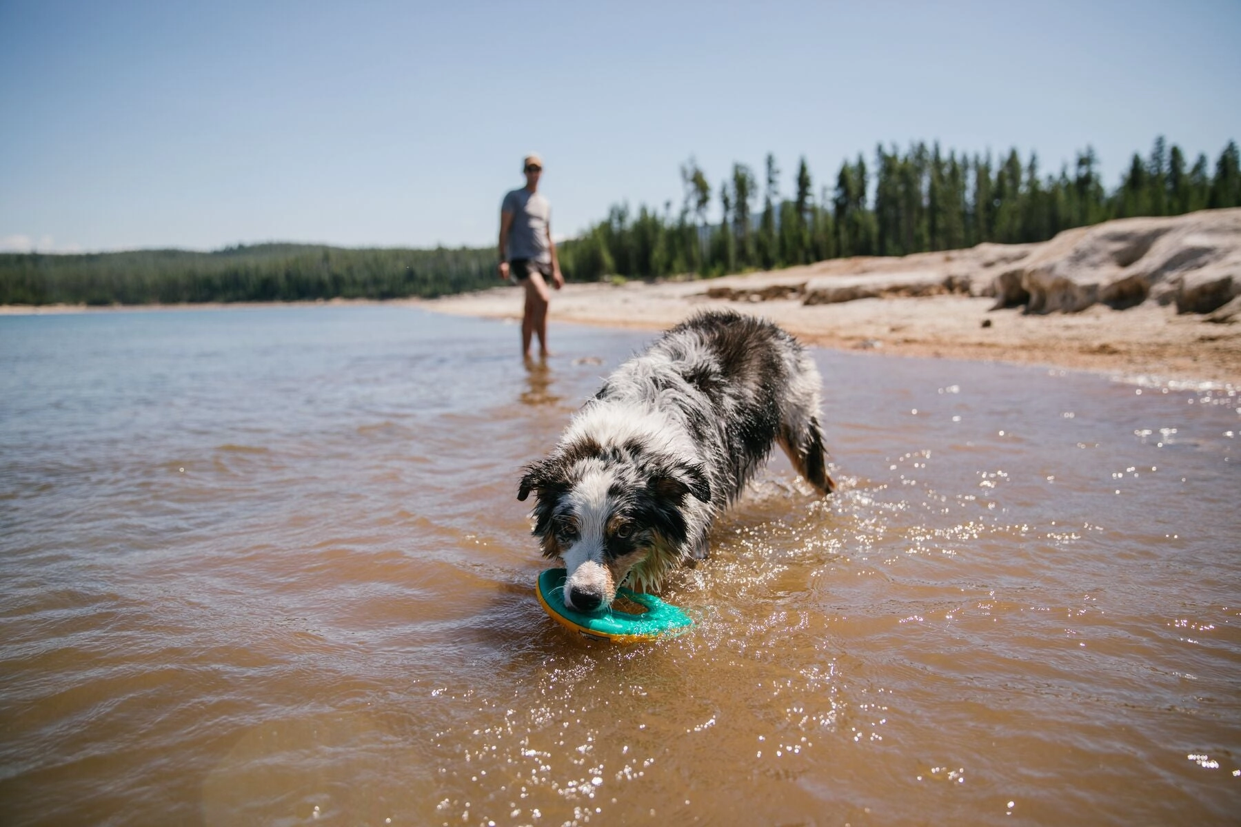Ruffwear Hydro Plane High-Floating Foam Tug & Fetch Toy Fetch Dog Toy (Tangelo Orange)