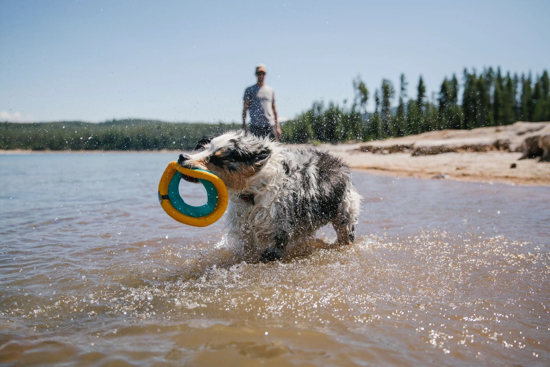 Ruffwear Hydro Plane High-Floating Foam Tug & Fetch Toy Fetch Dog Toy (Tangelo Orange)