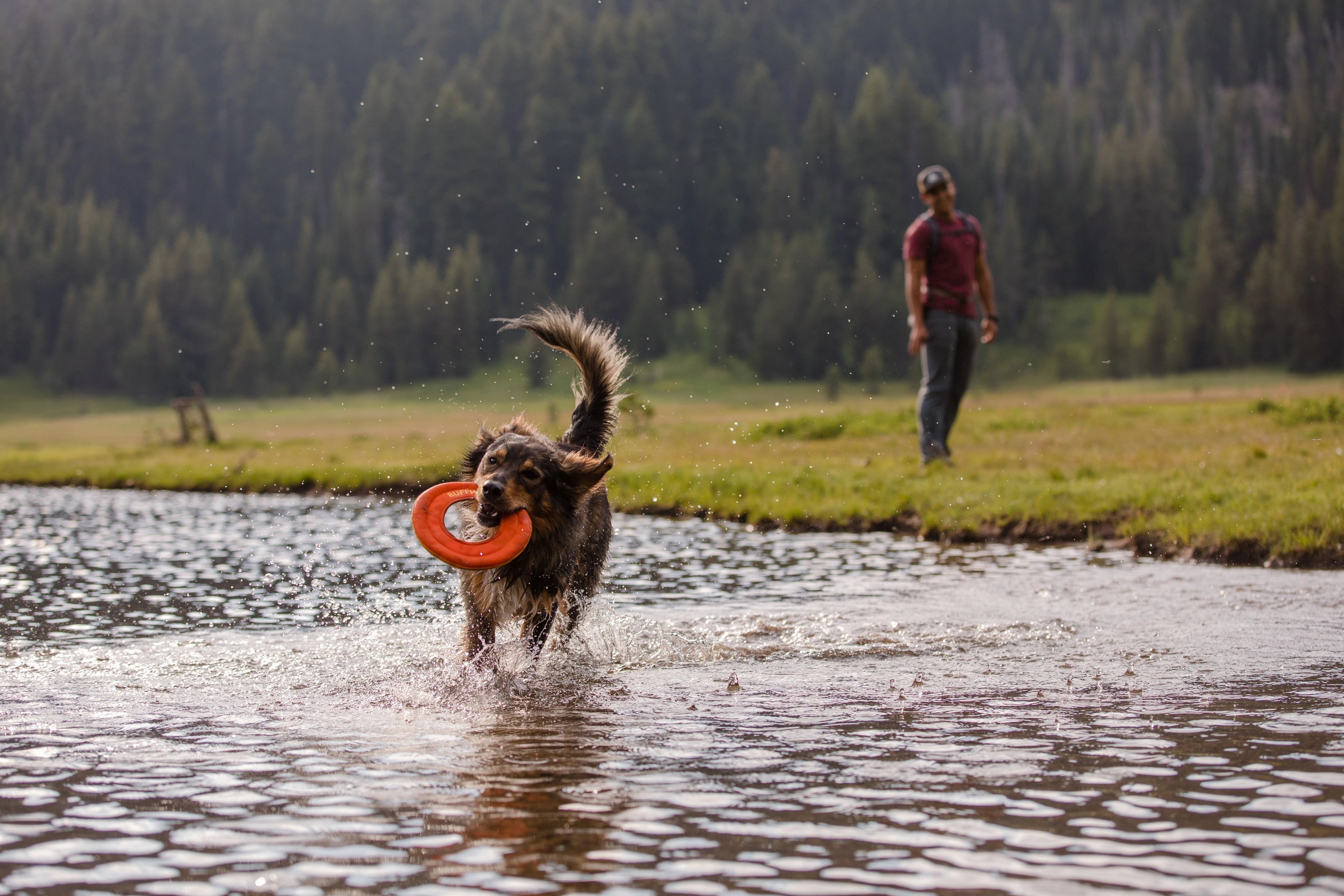 Ruffwear Hydro Plane High-Floating Foam Tug & Fetch Toy Fetch Dog Toy (Tangelo Orange)