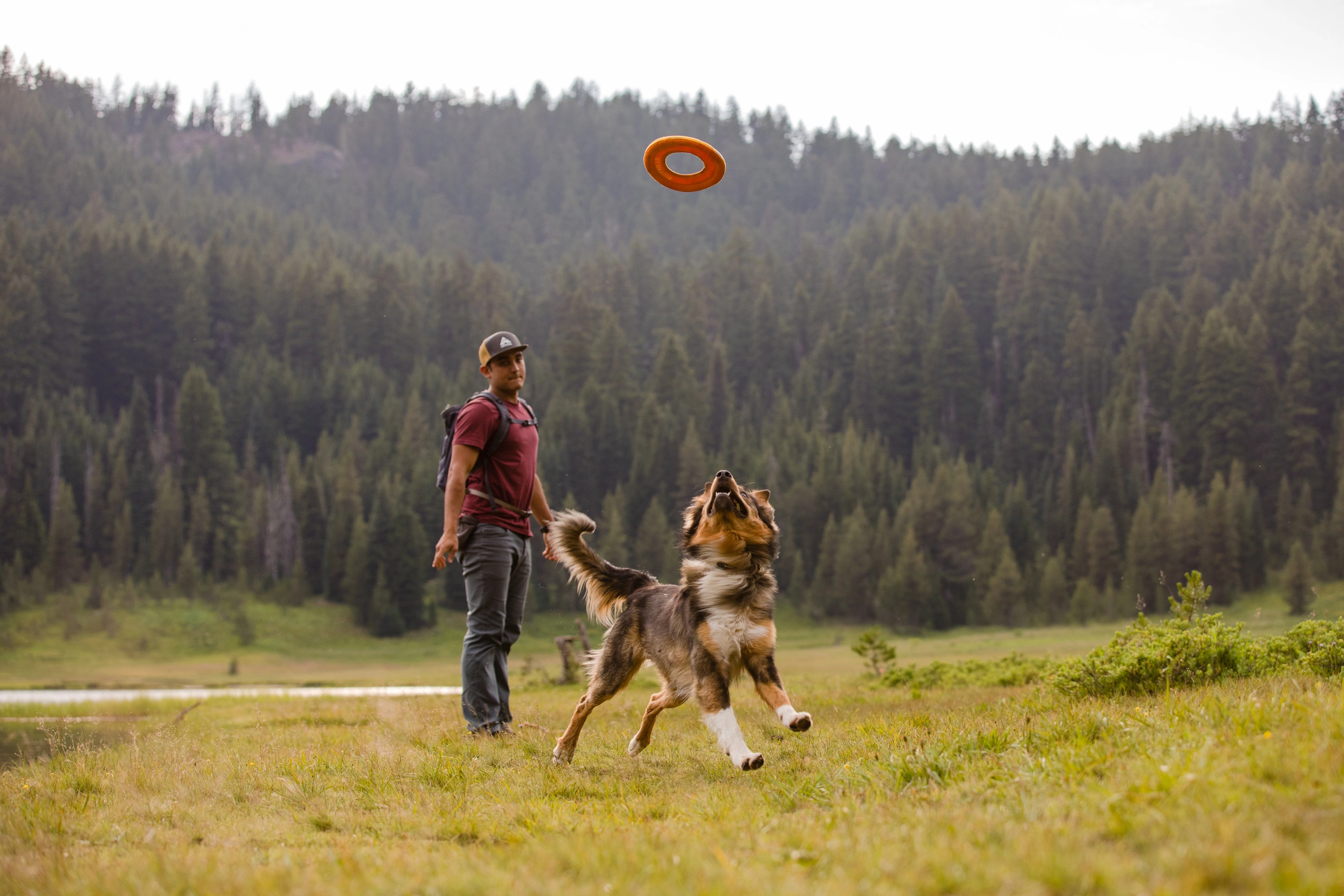 Ruffwear Hydro Plane High-Floating Foam Tug & Fetch Toy Fetch Dog Toy (Tangelo Orange)