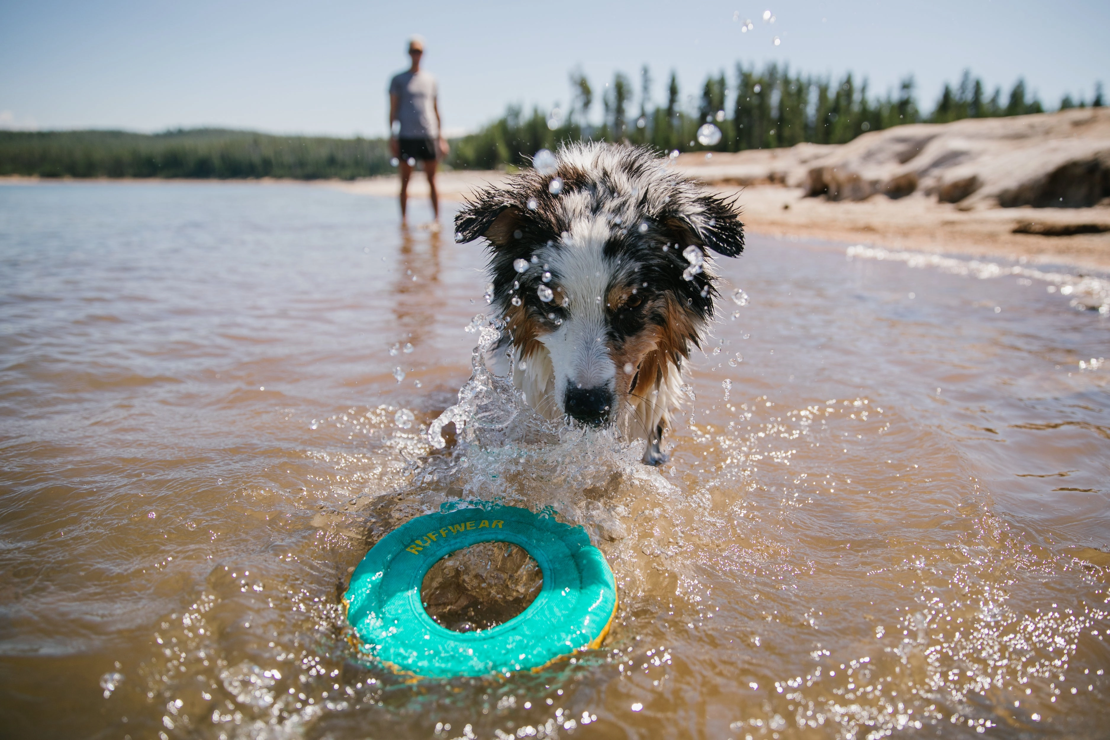 Ruffwear Hydro Plane High-Floating Foam Tug & Fetch Toy Fetch Dog Toy (Tangelo Orange)