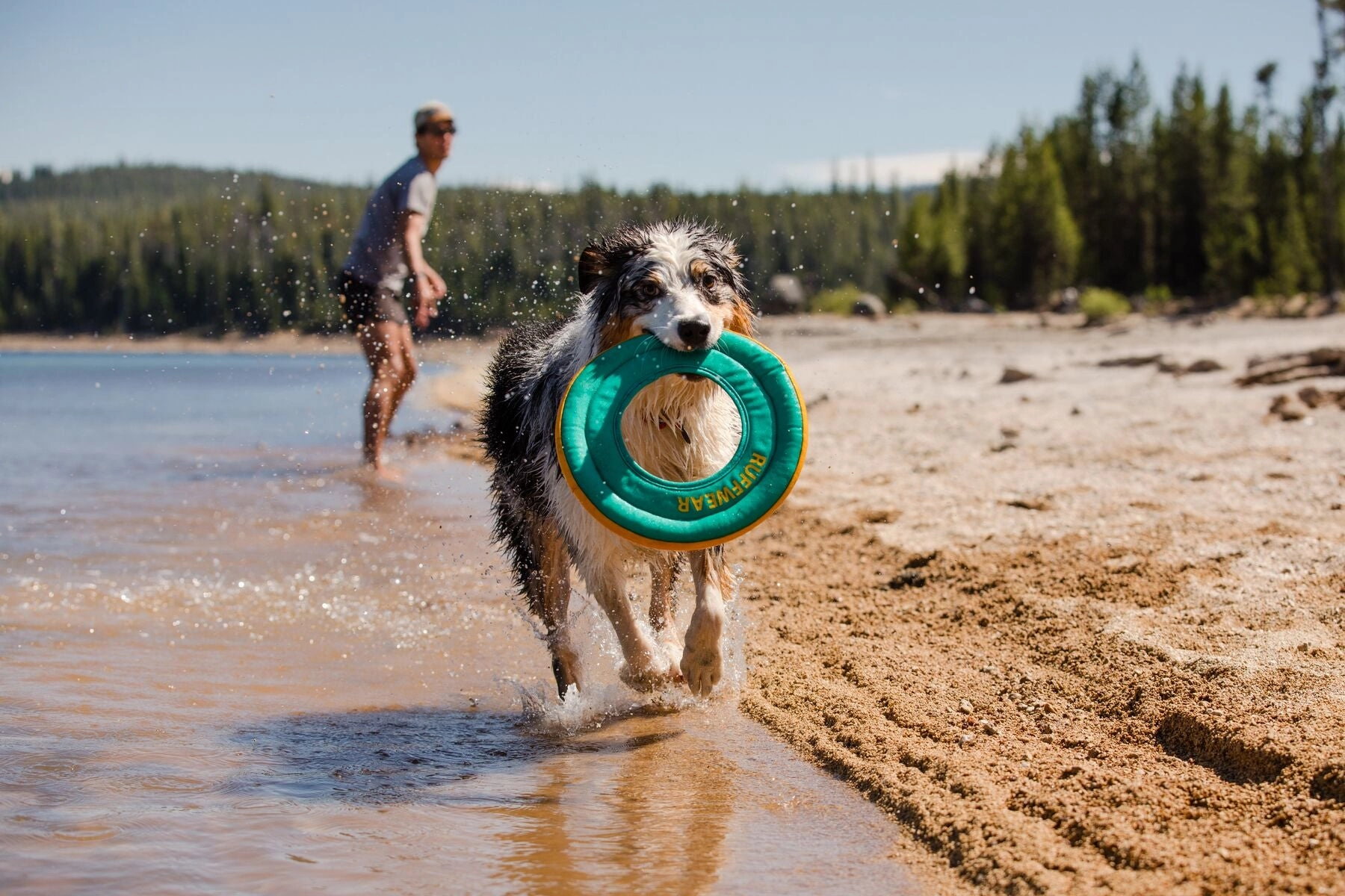Ruffwear Hydro Plane High-Floating Foam Tug & Fetch Toy Fetch Dog Toy (Tangelo Orange)