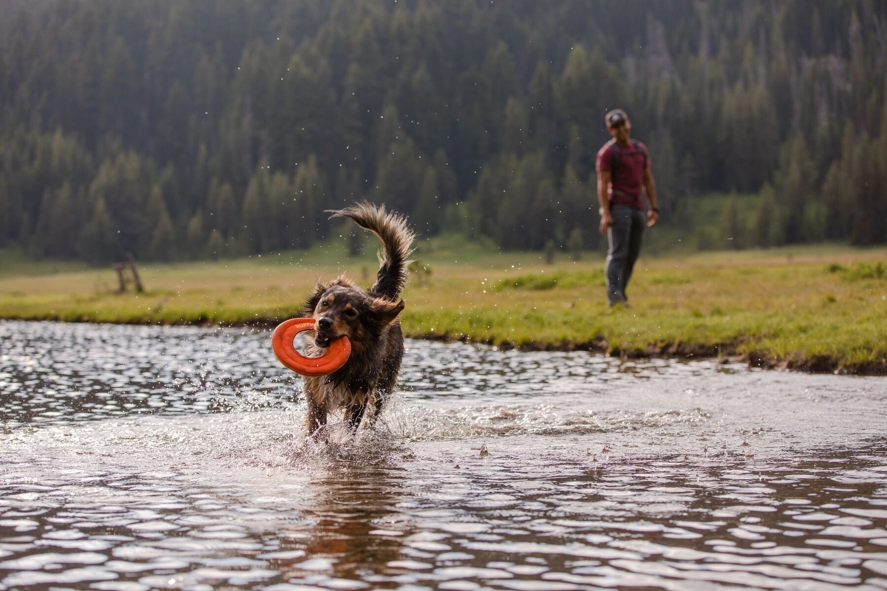 Ruffwear Hydro Plane High-Floating Foam Tug & Fetch Toy Fetch Dog Toy (Tangelo Orange)