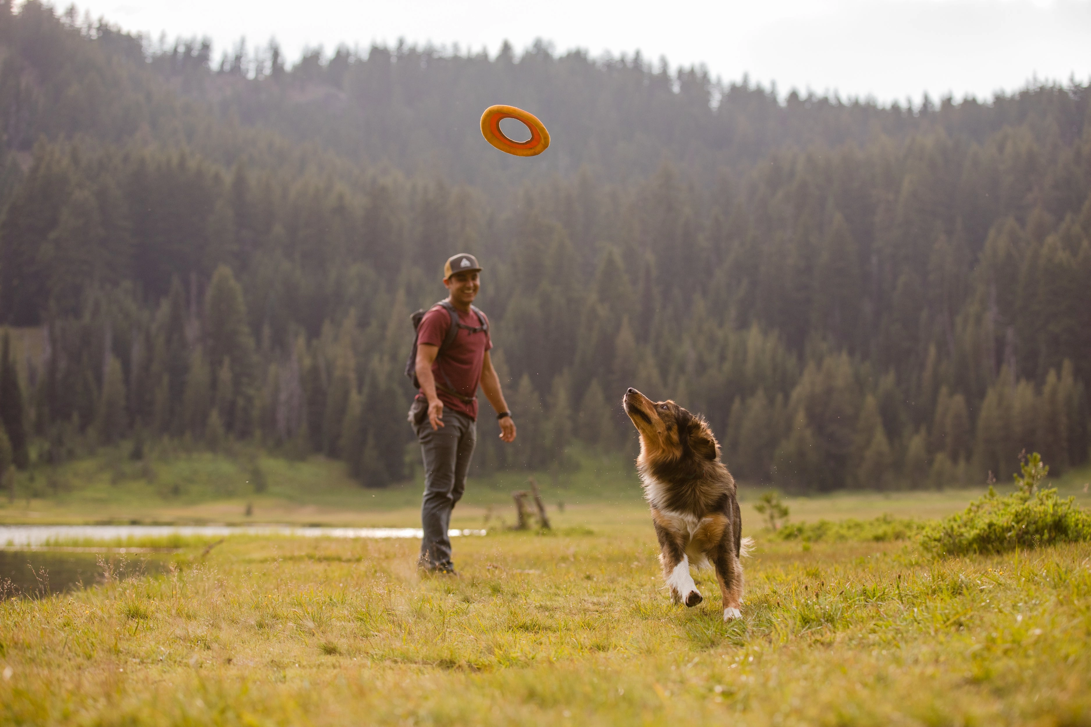 Ruffwear Hydro Plane High-Floating Foam Tug & Fetch Toy Fetch Dog Toy (Tangelo Orange)