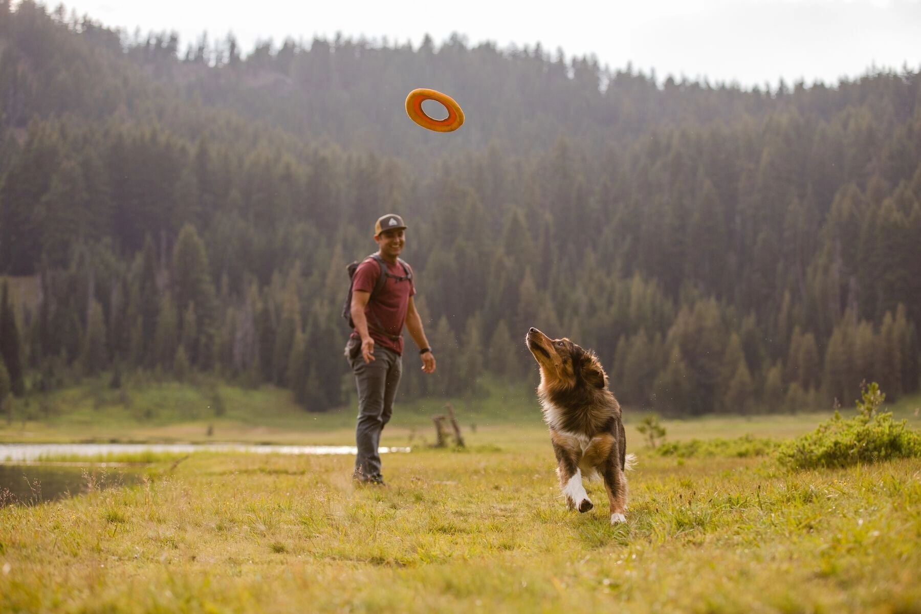 Ruffwear Hydro Plane High-Floating Foam Tug & Fetch Toy Fetch Dog Toy (Tangelo Orange)