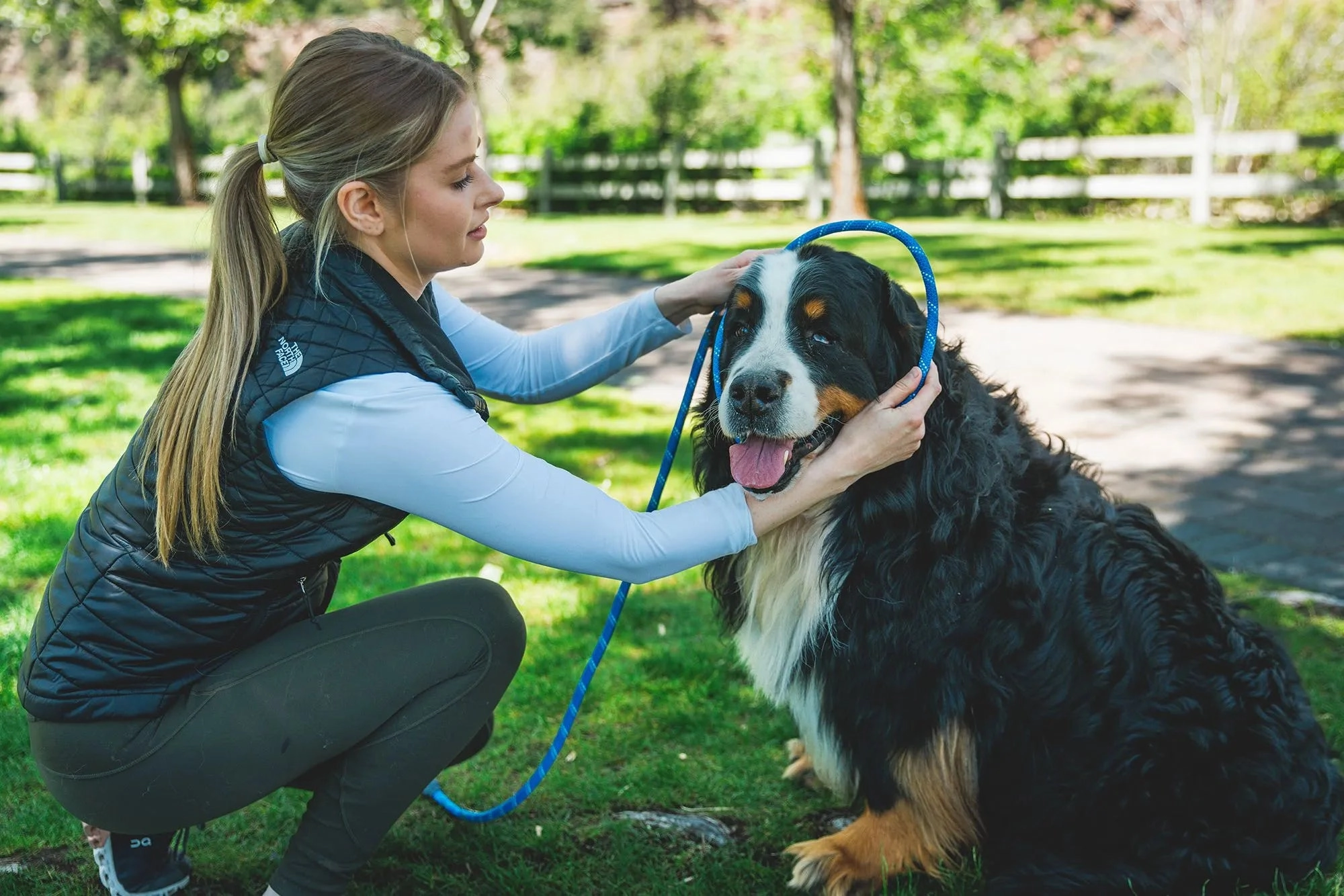 Ruffwear Just-a-Cinch? Reflective Rope Slip Dog Leash (Obsidian Black)