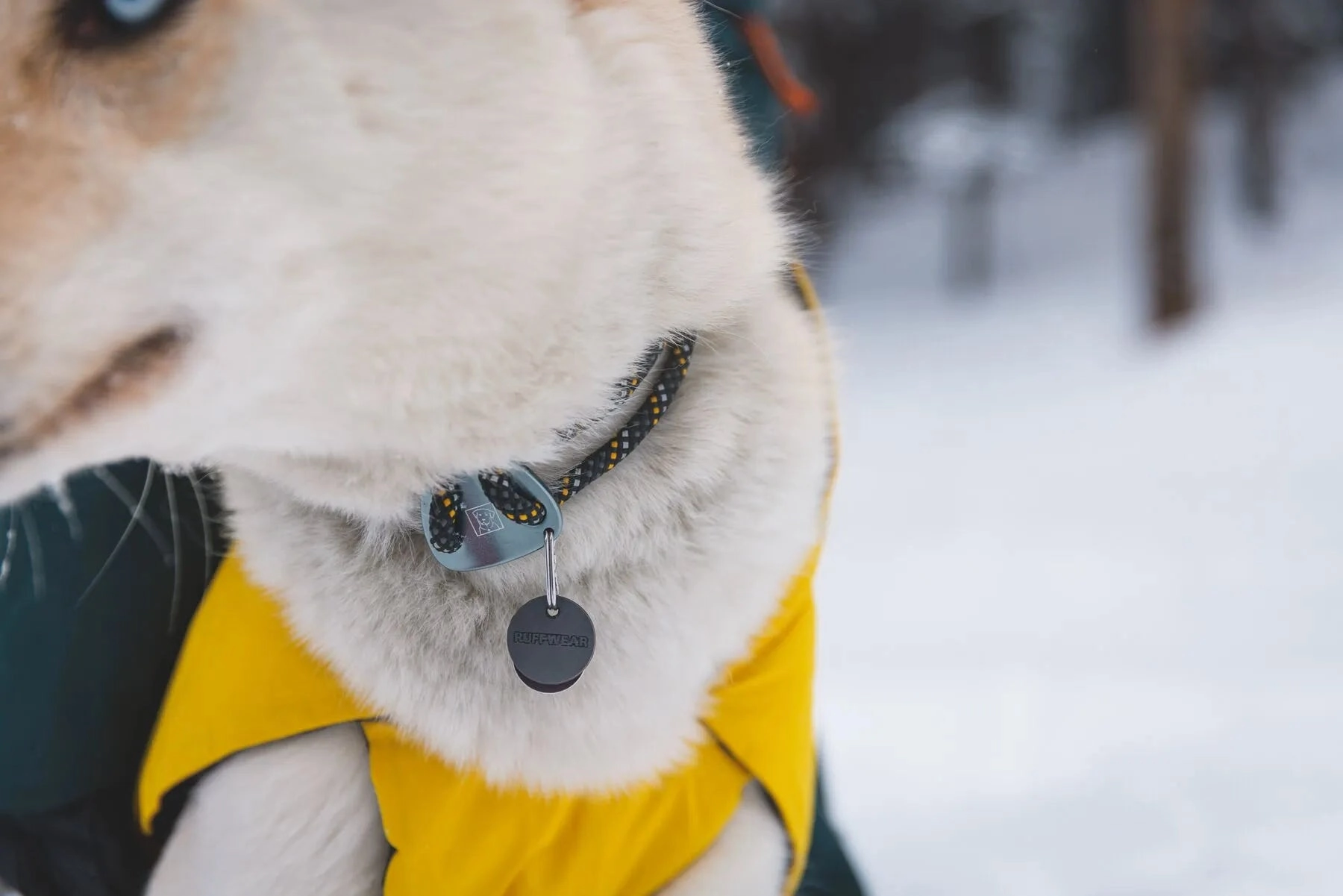Ruffwear Knot-a-Collar? Reflective Rope Dog Collar (Moss Green)