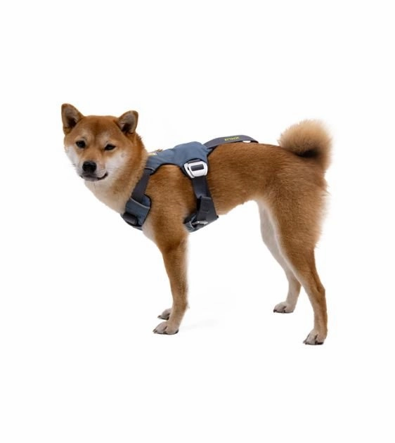 Ruffwear Load Up? Safety Dog Car Harness (Slate Blue)