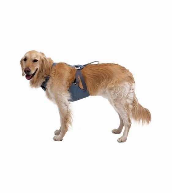 Ruffwear Load Up? Safety Dog Car Harness (Slate Blue)