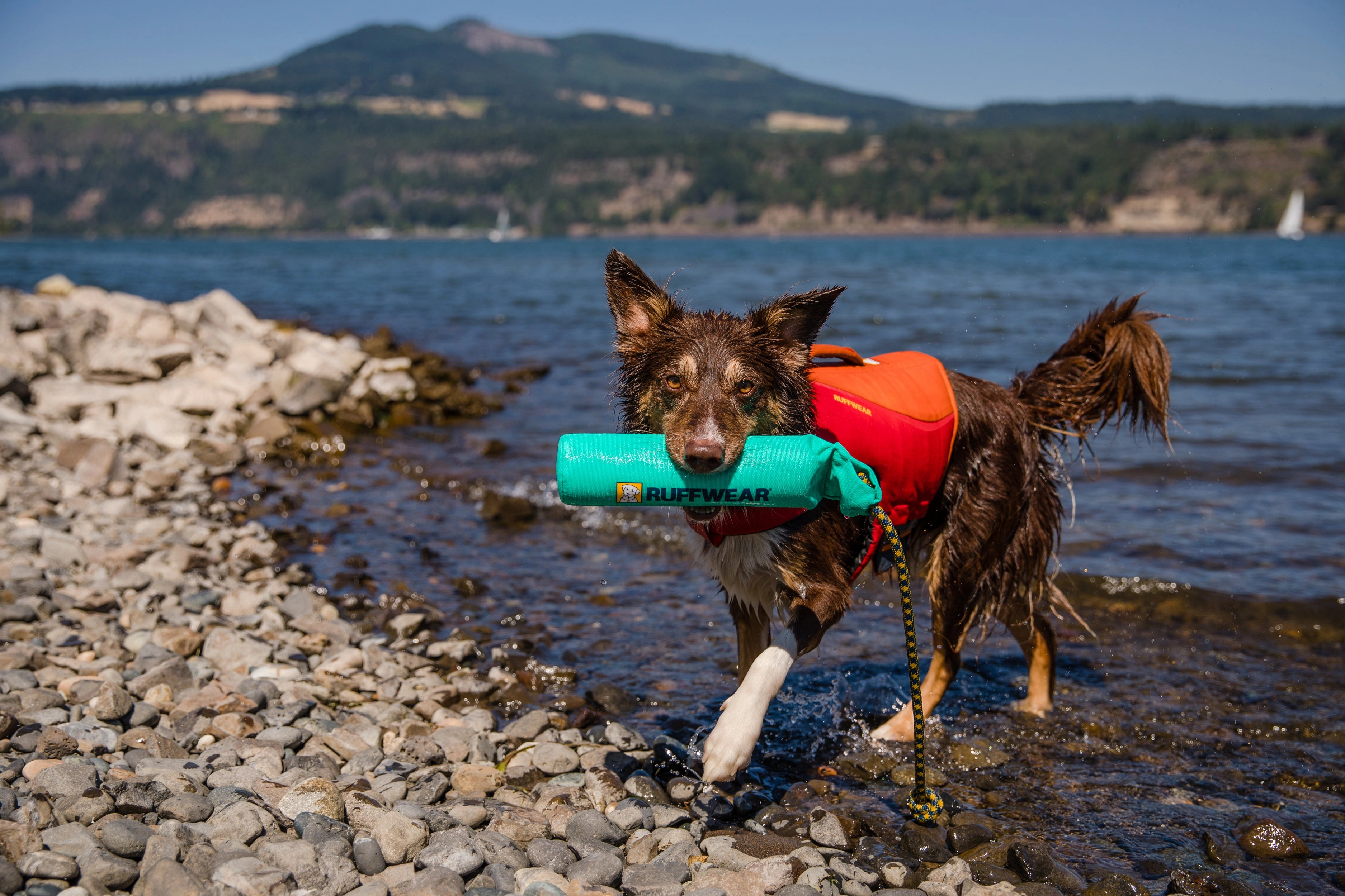 Ruffwear Lunker Interactive Floating Throw Dog Toy (Biolumin Blue)