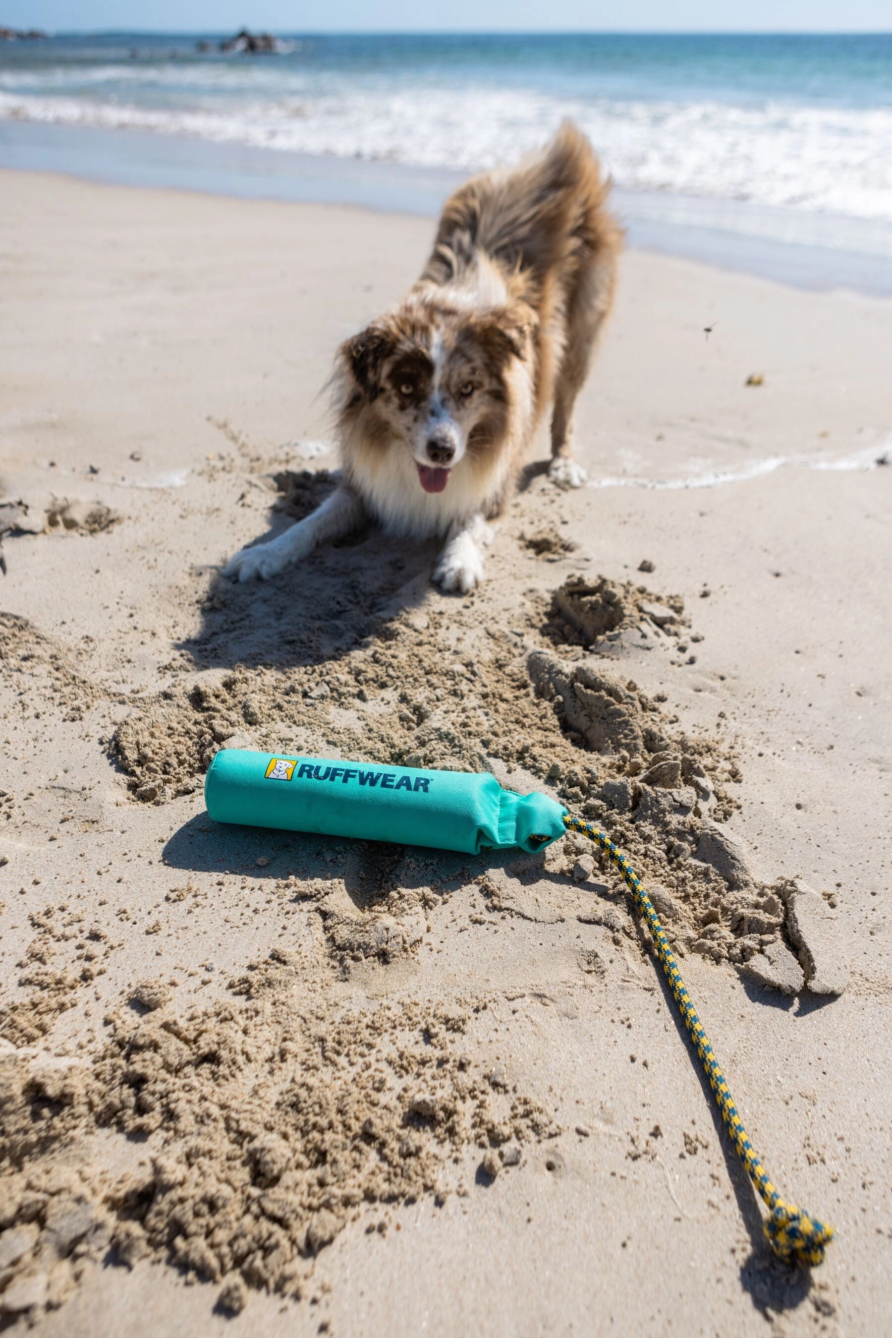 Ruffwear Lunker Interactive Floating Throw Dog Toy (Biolumin Blue)