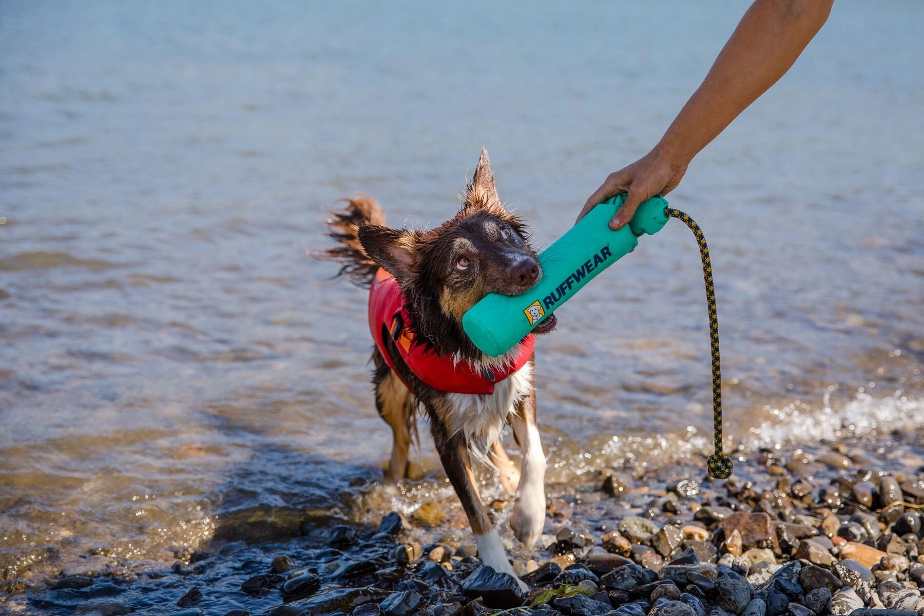 Ruffwear Lunker Interactive Floating Throw Dog Toy (Biolumin Blue)