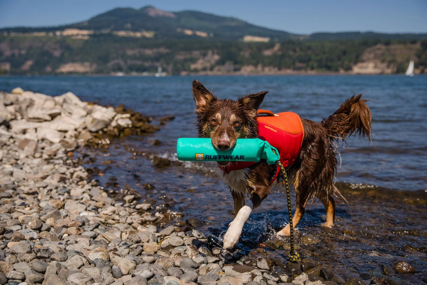 Ruffwear Lunker Interactive Floating Throw Dog Toy (Biolumin Blue)