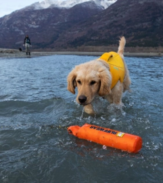Ruffwear Lunker Interactive Floating Throw Dog Toy (Campfire Orange)