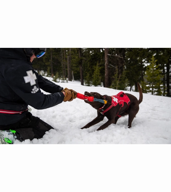 Ruffwear Pacific Loop Tug & Fetch Dog Toy (Aurora Teal)