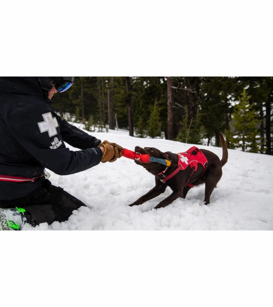 Ruffwear Pacific Loop Tug & Fetch Dog Toy (Aurora Teal)