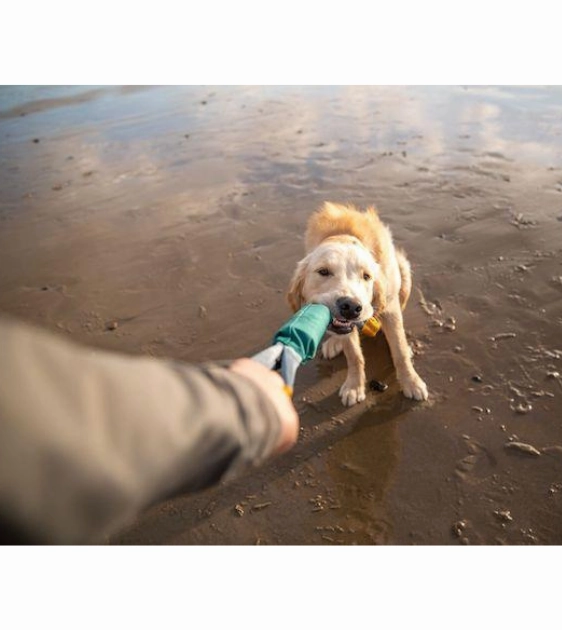 Ruffwear Pacific Loop Tug & Fetch Dog Toy (Sockeye Red)