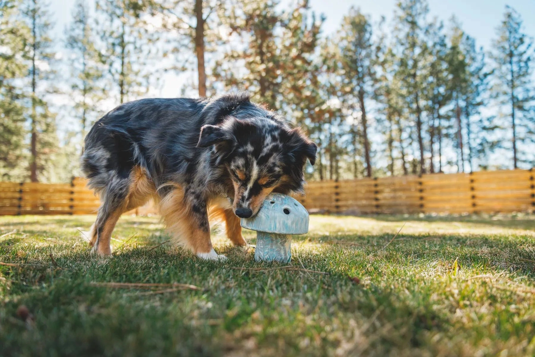 Ruffwear Porcini Chew Resistant Slow Feeding Dog Toy (Gray Sky)