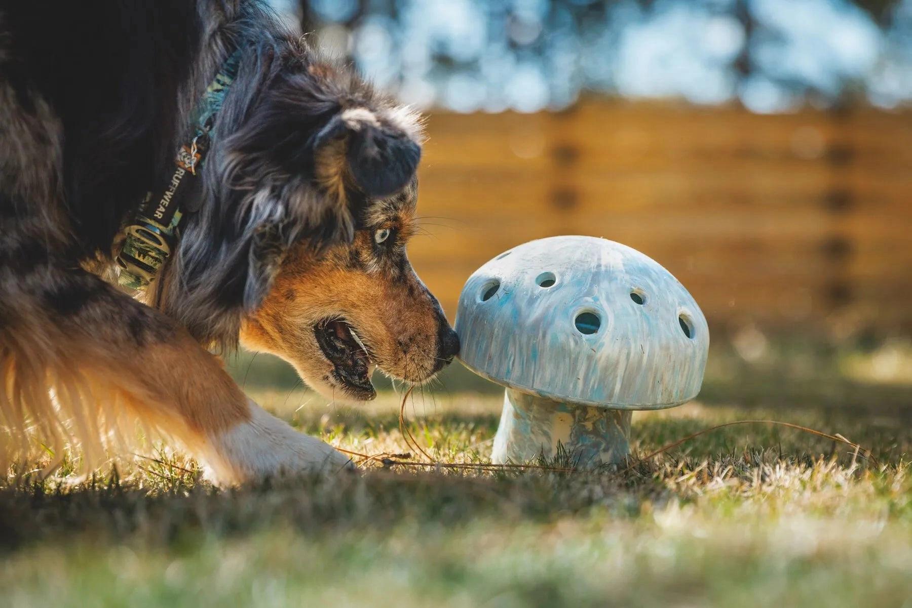 Ruffwear Porcini Chew Resistant Slow Feeding Dog Toy (Gray Sky)