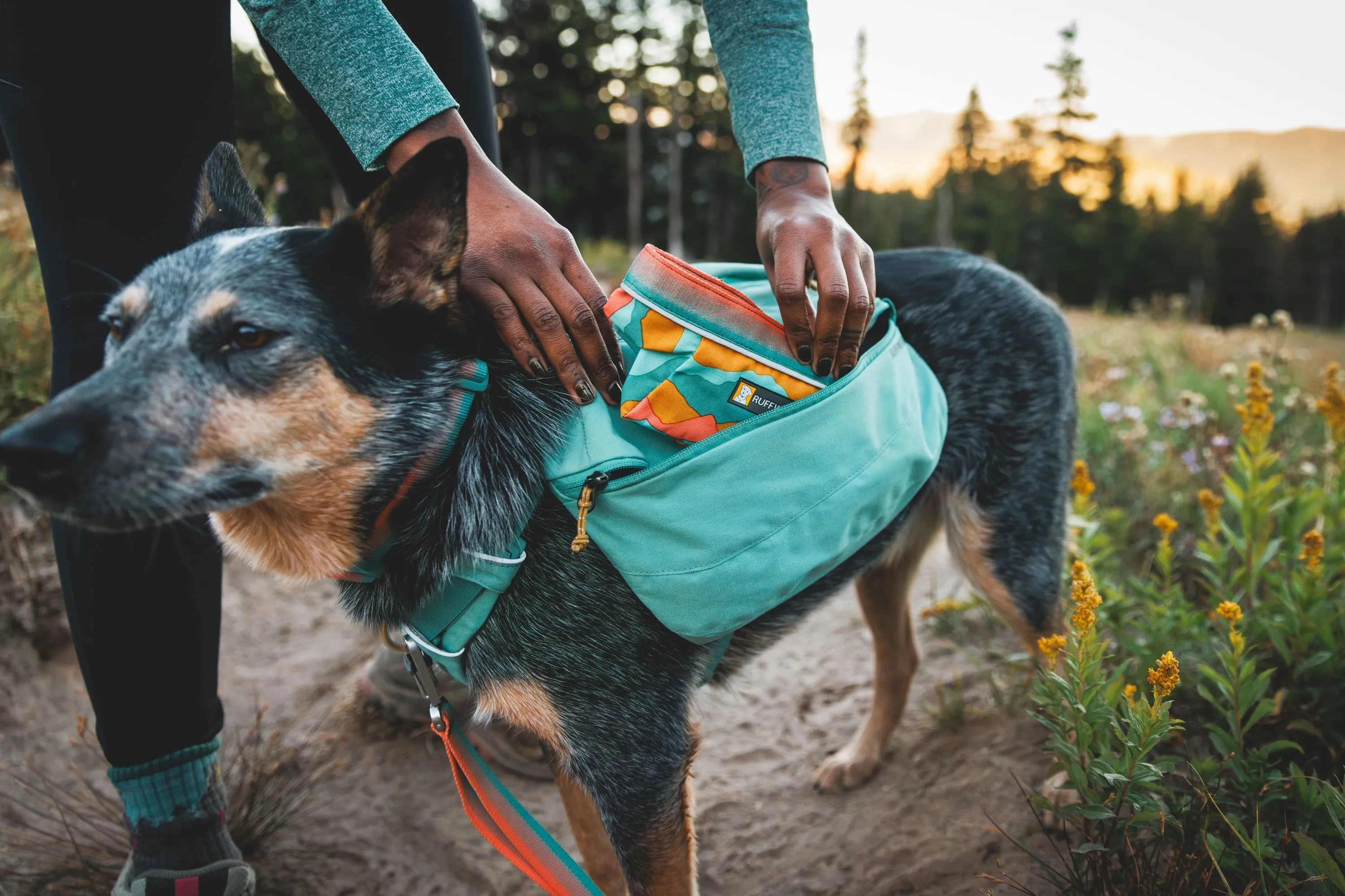 Ruffwear Quencher Collapsible Dog Food & Water Bowl (Spring Mountains)