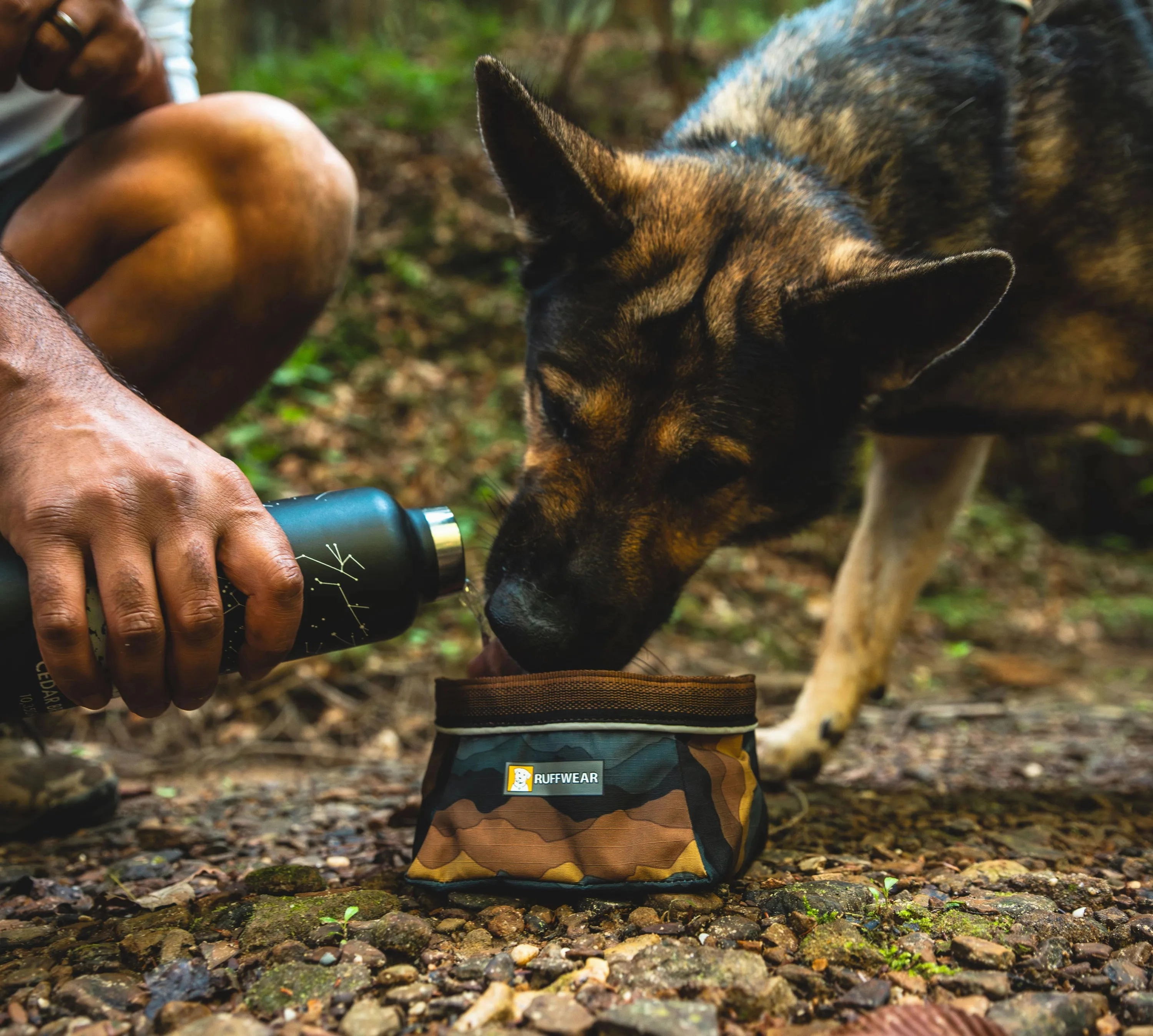 Ruffwear Quencher Collapsible Dog Food & Water Bowl (Spring Mountains)