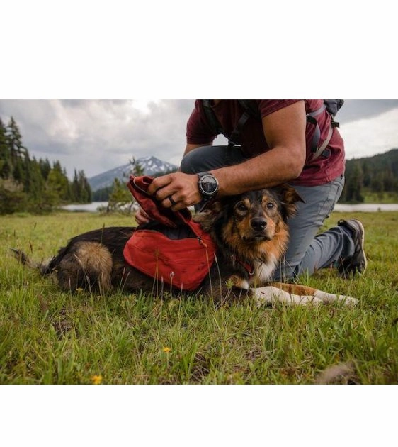 Ruffwear Quencher Collapsible Food & Water (Tumalo Teal) Dog Bowl
