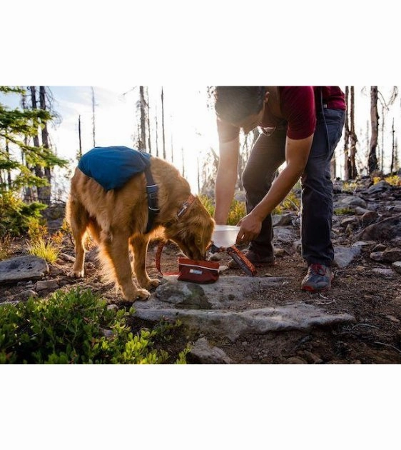 Ruffwear Quencher Collapsible Food & Water (Tumalo Teal) Dog Bowl