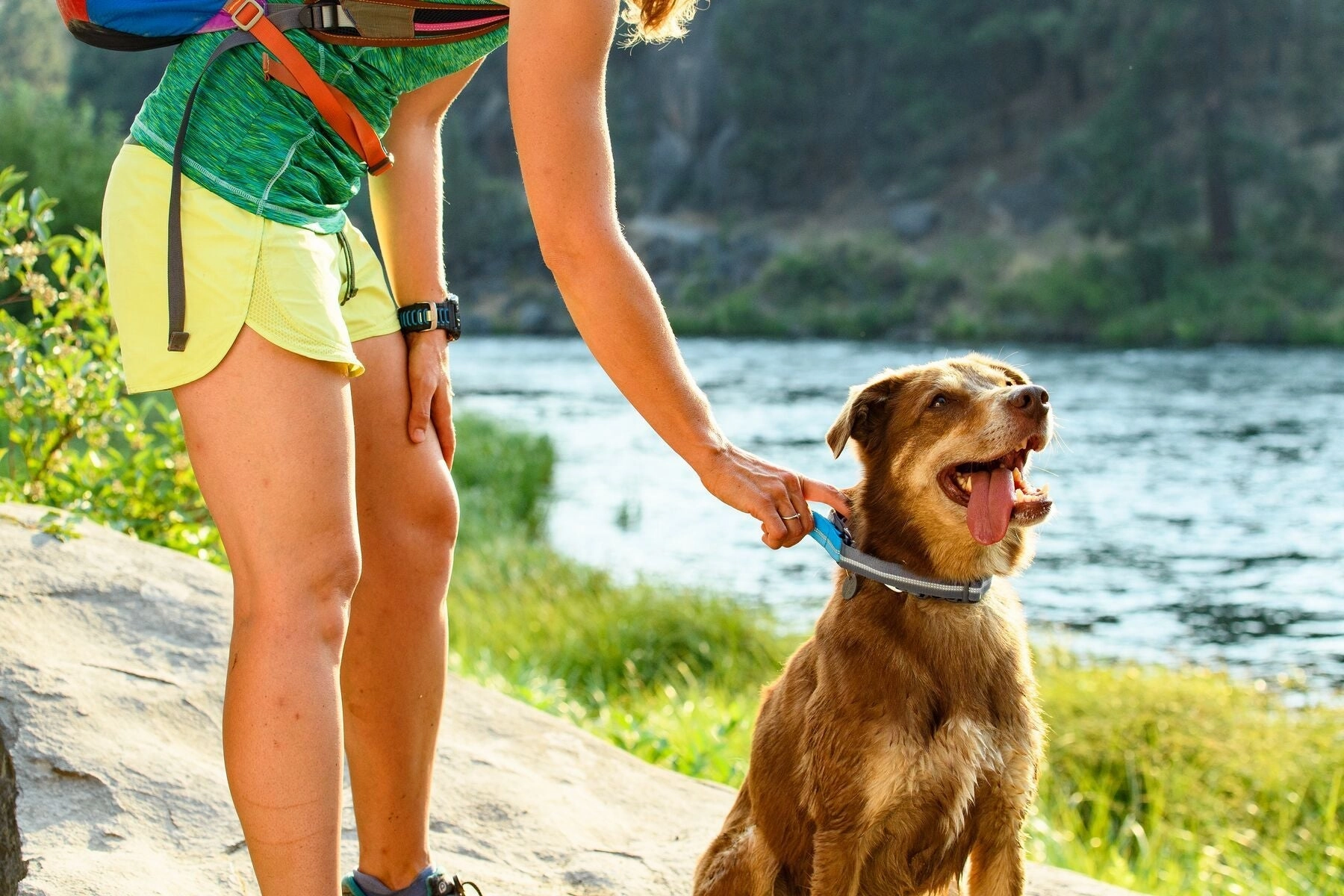 Ruffwear Quick Draw? Reflective Adjustable Collar Dog Leash
