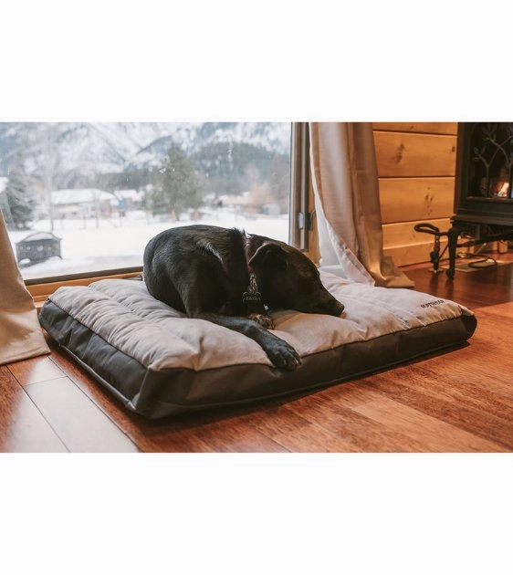 Ruffwear Restcycle Home & Outdoor Dog Bed With Handle (Cloudburst Gray)