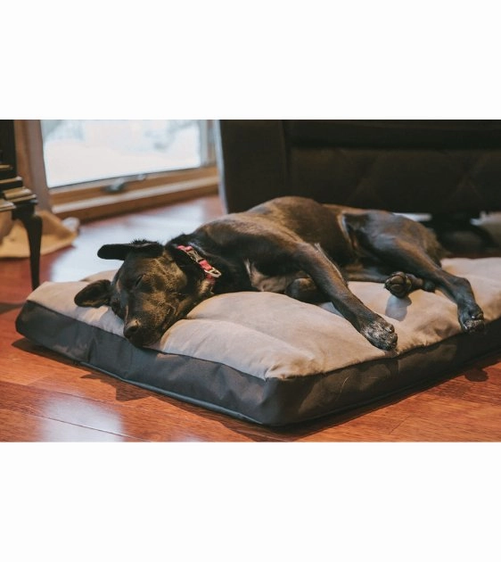 Ruffwear Restcycle Home & Outdoor Dog Bed With Handle (Cloudburst Gray)