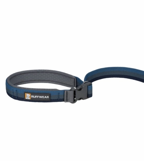 Ruffwear Roamer? Multi-Use Bungee Dog Leash (Orion Blue)
