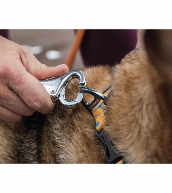 Ruffwear Roamer? Multi-Use Bungee Dog Leash (Orion Blue)