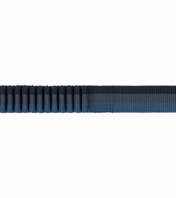 Ruffwear Roamer? Multi-Use Bungee Dog Leash (Orion Blue)