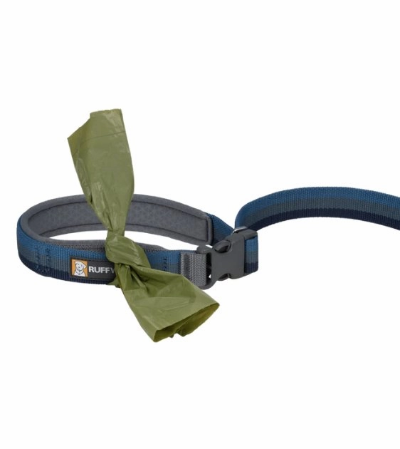 Ruffwear Roamer? Multi-Use Bungee Dog Leash (Orion Blue)