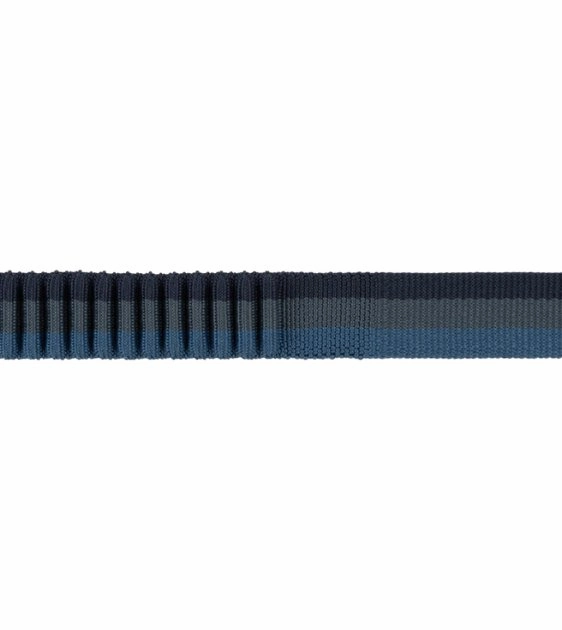 Ruffwear Roamer? Multi-Use Bungee Dog Leash (Orion Blue)