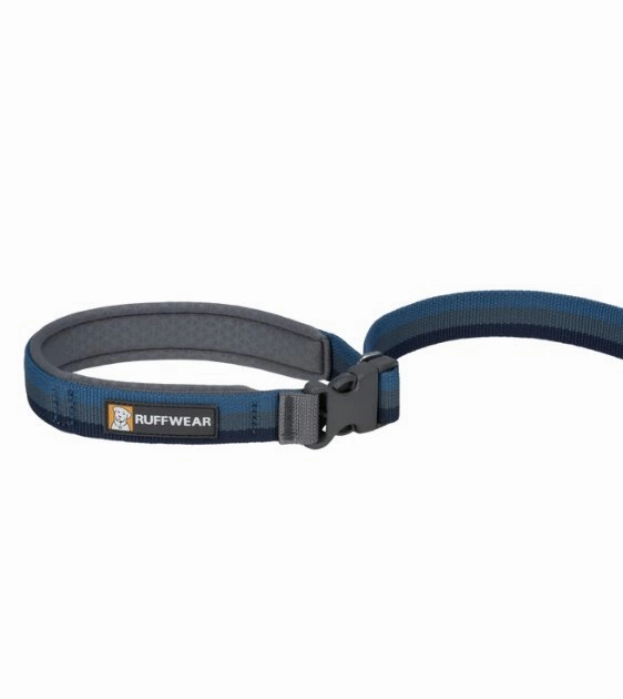 Ruffwear Roamer? Multi-Use Bungee Dog Leash (Orion Blue)