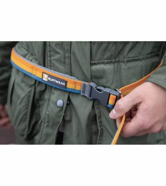 Ruffwear Roamer? Multi-Use Bungee Dog Leash (Orion Blue)