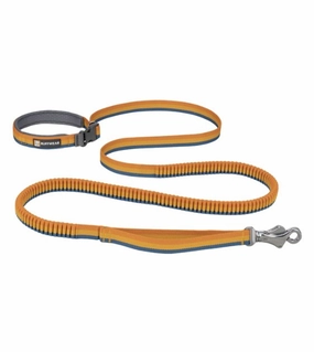 Ruffwear Roamer? Multi-Use Bungee Dog Leash (Yellow Snow) dog joint care,hip support