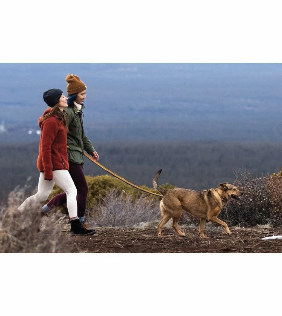 Ruffwear Roamer? Multi-Use Bungee Dog Leash (Yellow Snow)