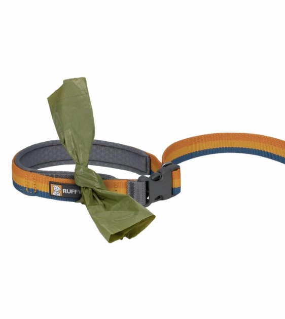 Ruffwear Roamer? Multi-Use Bungee Dog Leash (Yellow Snow)