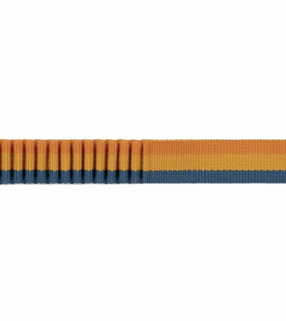 Ruffwear Roamer? Multi-Use Bungee Dog Leash (Yellow Snow)