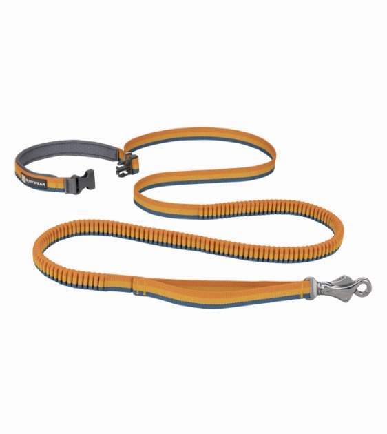 Ruffwear Roamer? Multi-Use Bungee Dog Leash (Yellow Snow)