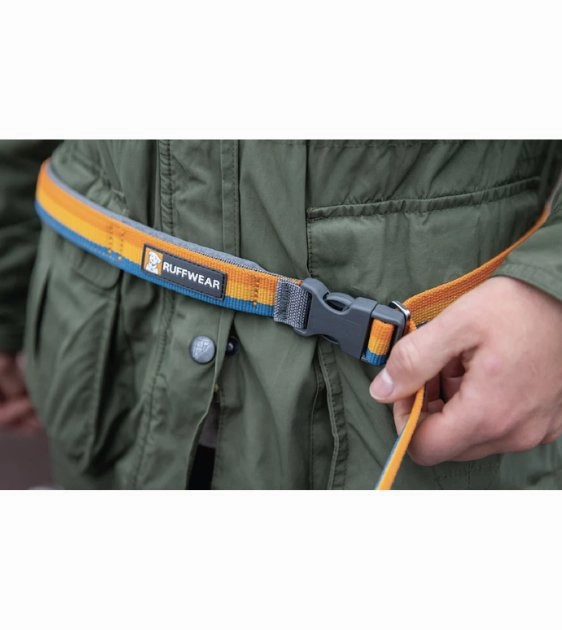 Ruffwear Roamer? Multi-Use Bungee Dog Leash (Yellow Snow)