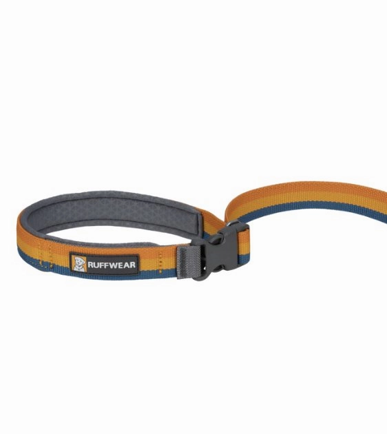 Ruffwear Roamer? Multi-Use Bungee Dog Leash (Yellow Snow)