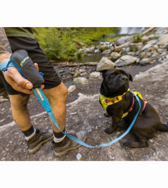 Ruffwear Stash Bag Mini Poop Bag Dispenser (Aurora Teal)