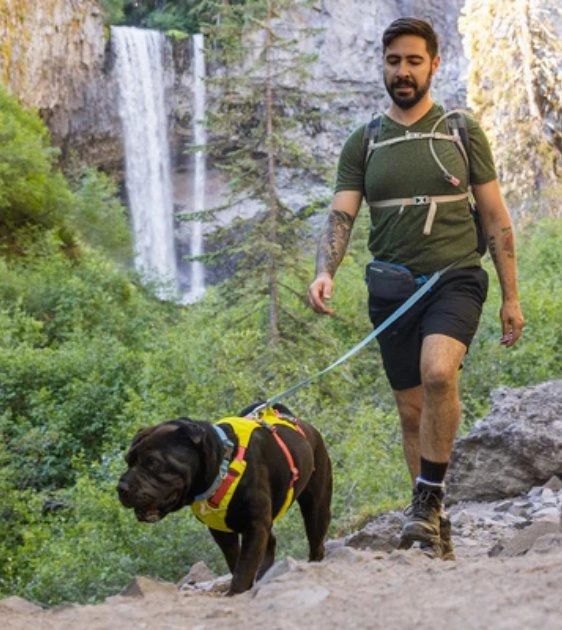 Ruffwear Stash Bag Plus Poop Bag Dispenser (Basalt Gray)